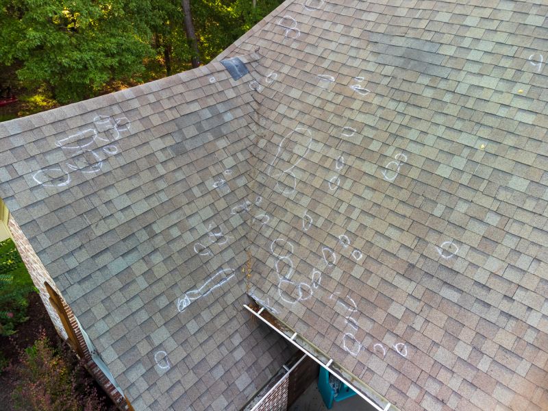 Asphalt Roof Inspection in Chester, VA
