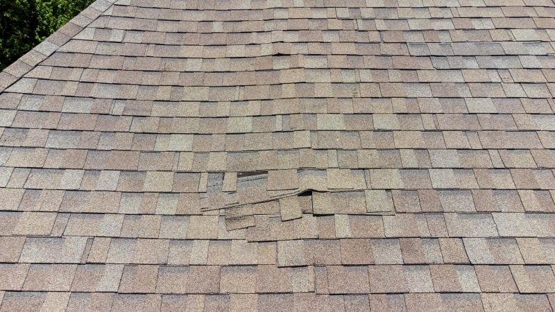 Asphalt Roof Inspection in Richmond, VA