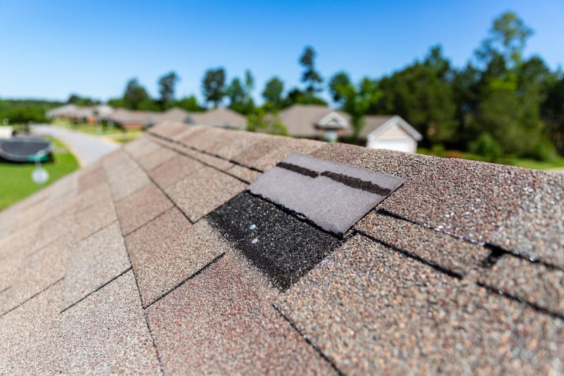 Asphalt Roof Leak Repair in Amelia Court House, VA