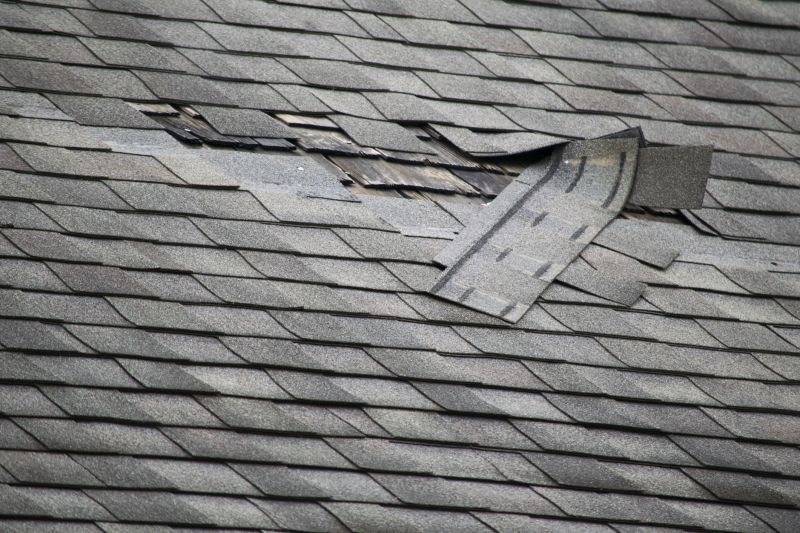 Asphalt Roof Leak Repair in Ashland, VA