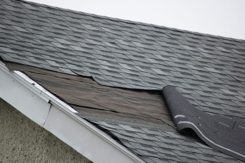 Asphalt Shingles Repair in Midlothian, VA