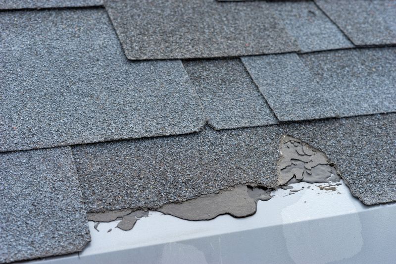Damaged Roof Repair in Amelia County, VA