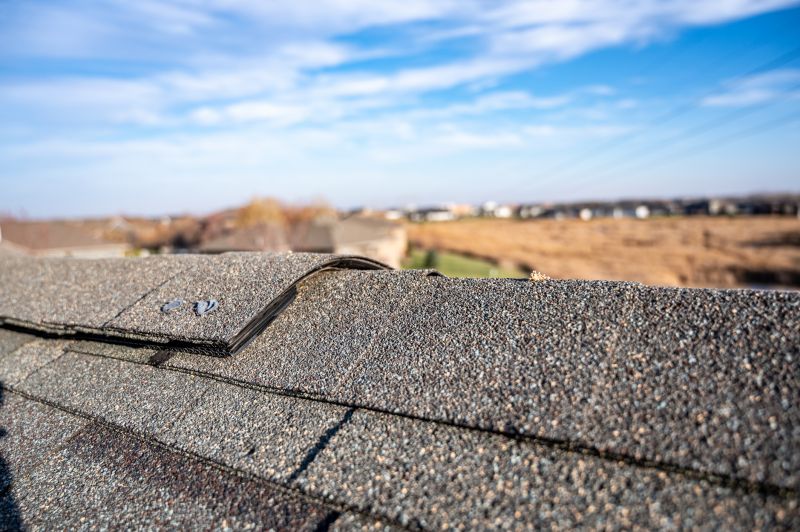 Damaged Roof Repair in Hanover County, VA