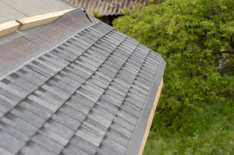 Damaged Roof Repair in Midlothian, VA