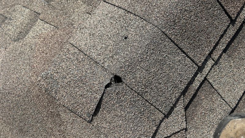 Damaged Roof Repair in Montpelier, VA