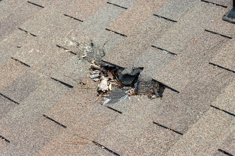 Damaged Roof Replacement in Montpelier, VA