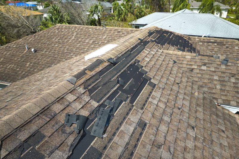 Damaged Roof Replacement in Moseley, VA