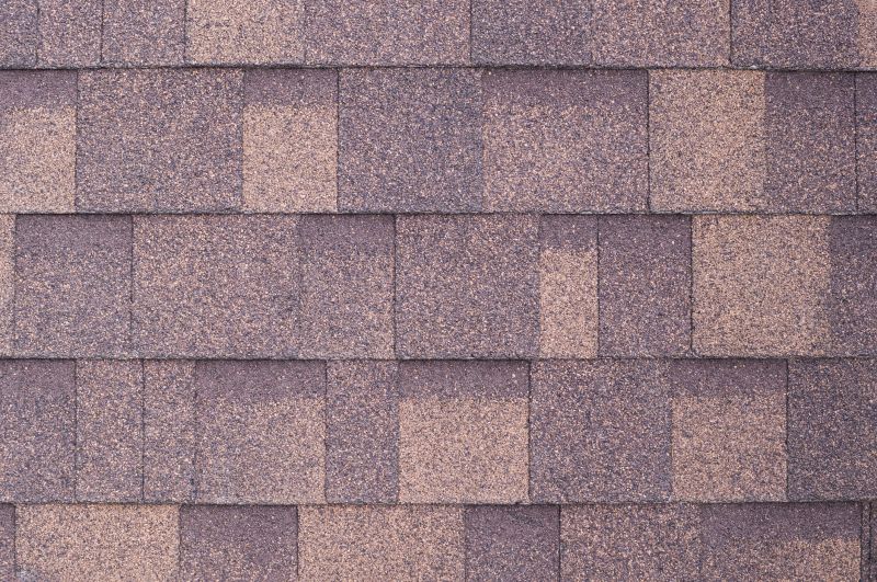 Fiberglass Shingles Repair in Henrico County, VA