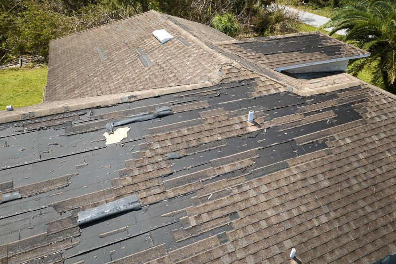 Hail Damage Roof Repair in Chester, VA