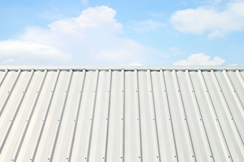 Metal Roof Coating Service in Henrico County, VA