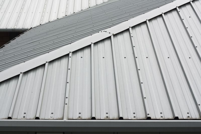 Metal Roof Repair in Amelia County, VA