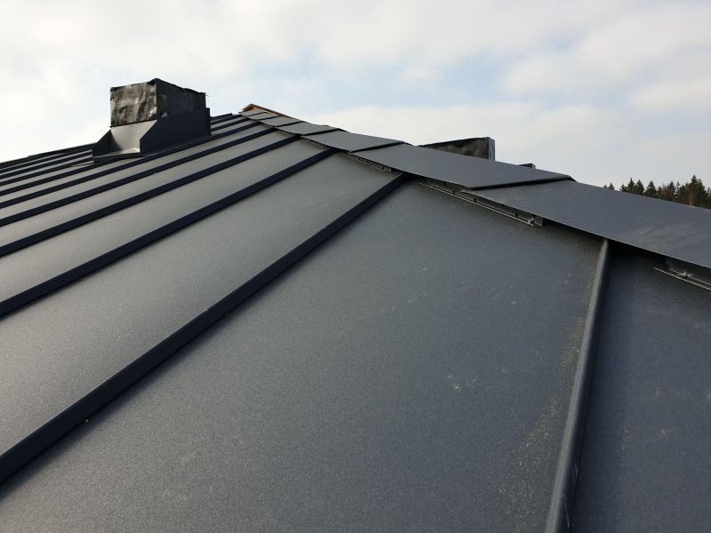 Metal Roof Sealing in Henrico County, VA