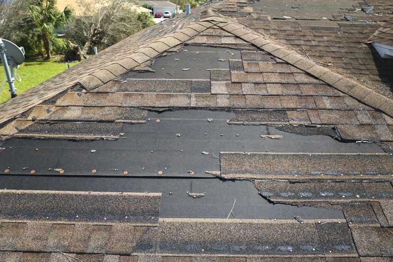 Roof Hail Damage Repair in Henrico County, VA