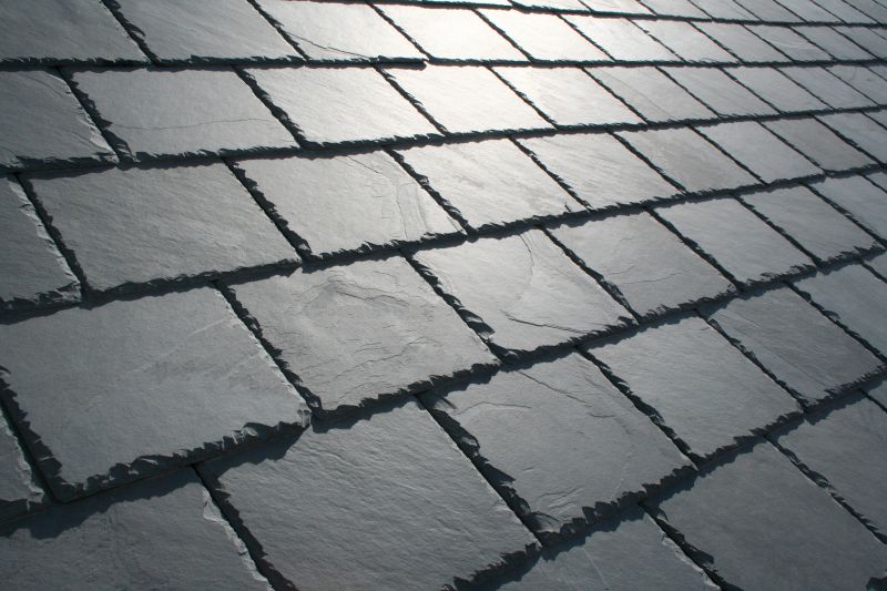 Slate Roof Replacement in Moseley, VA
