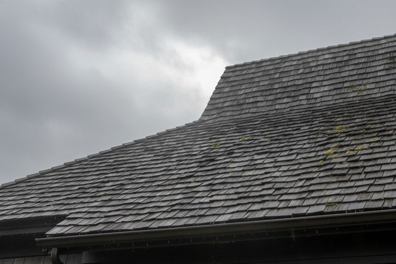 Wood Shake Roof Replacement in Midlothian, VA